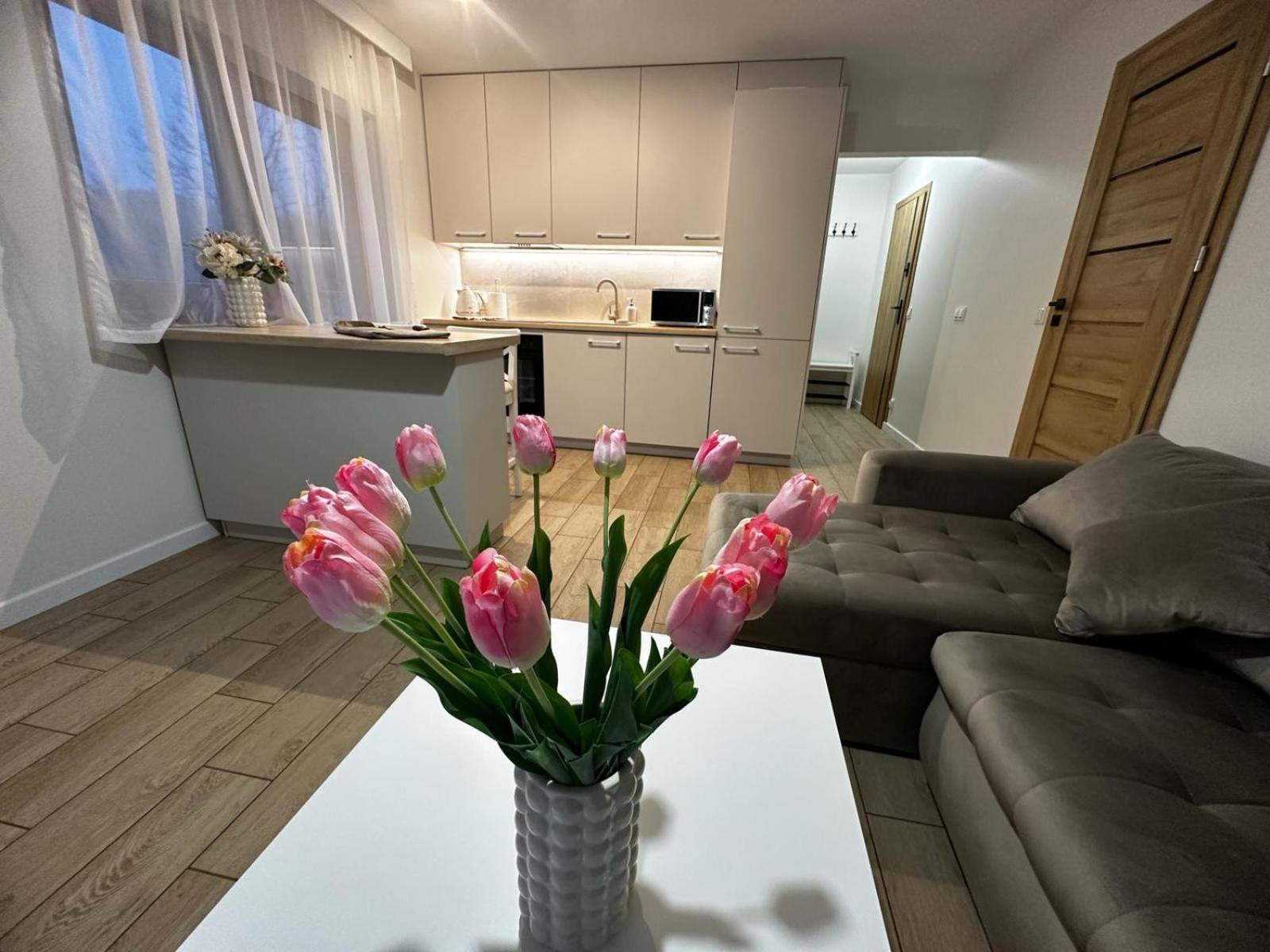 Apartamenty Biala Gran Zakopane Zewnętrze zdjęcie